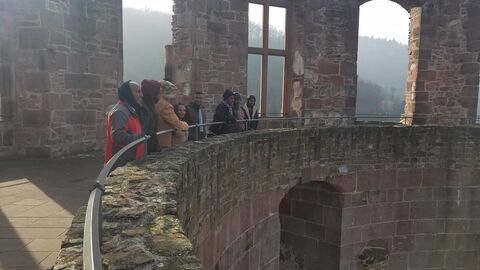 Accompanied exoursions